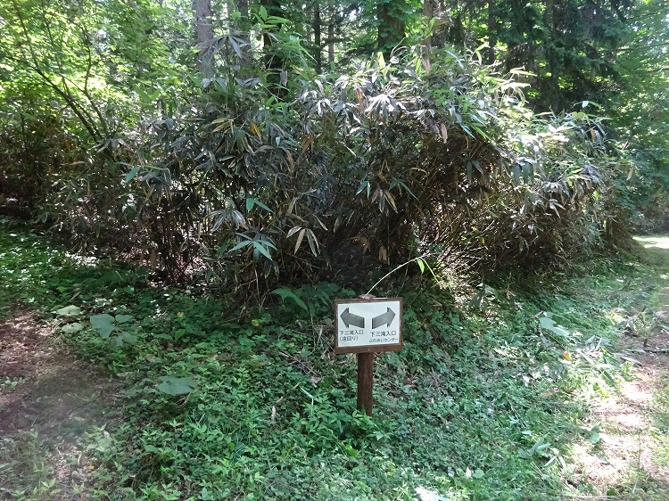 DSC02890.jpg