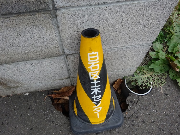 DSC03252.jpg